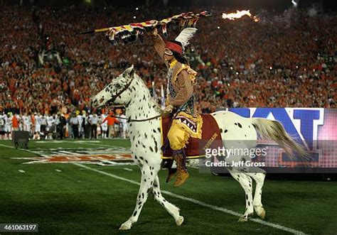 Fsu Mascot Photos and Premium High Res Pictures - Getty Images