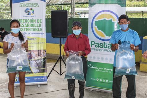 Pastaza Alevines De Tilapia Entrega Gobierno Provincial A