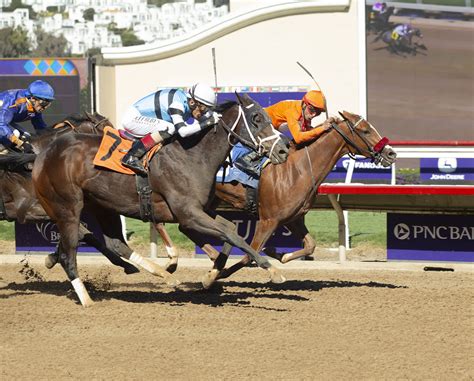These longshot wins in today's results at aqueduct surprise bettors 26