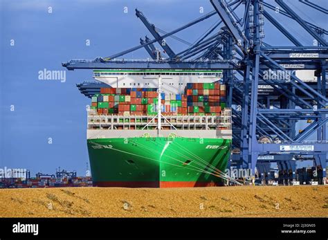 Ever Alp Evergreen The Ultra Large Container Carrier At The Port Of