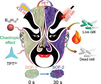 Chaotropic Effect Stabilized Radical‐Containing Supramolecular Organic ...