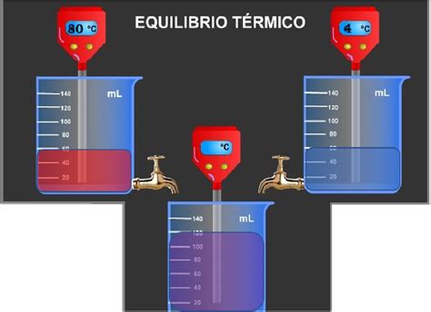 O Que O Equil Brio T Rmico