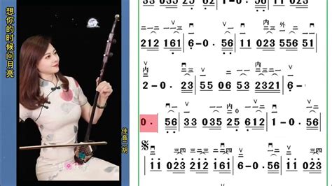 《想你的时候问月亮》佳音二胡演奏，很好听 Youtube