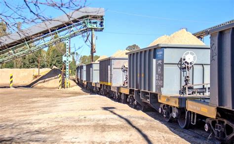 CRÓNICA FERROVIARIA Trenes Argentinos Cargas y Ferrosur Roca S A