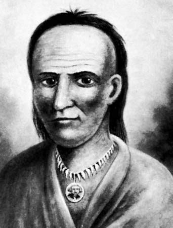 Little Turtle | Native American, War Chief, Miami Tribe | Britannica