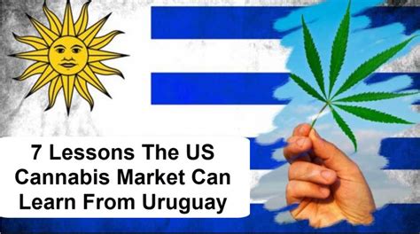 7 Lessons The Us Cannabis Market Can Learn From Uruguay