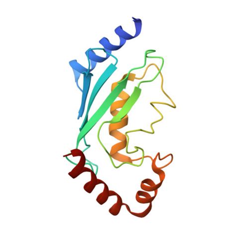 Rcsb Pdb 8smw Cryo Em Structure Of The Human Nucleosome Core