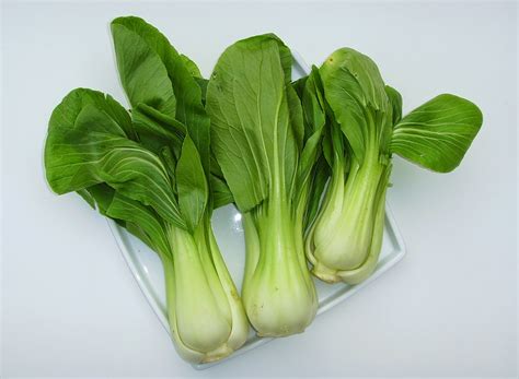 Vima S Food Pak Choi Cavolo Cinese