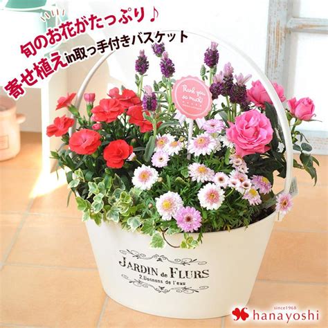 母の日 2022 花 プレゼント 寄せ植え フラワーガーデン 〜in取っ手付きバスケット 母の日ギフト 花鉢 鉢花 ハピネスグリーン フラワーマーケット花由 通販 Paypayモール