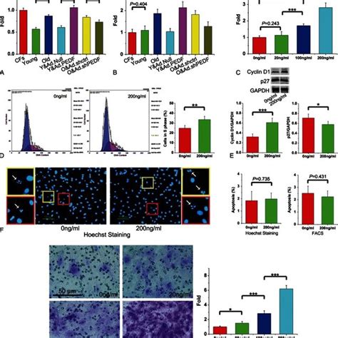 Schematic Illustrating Mesenchymal Stem Cells Can Regulate The Cellular Download Scientific