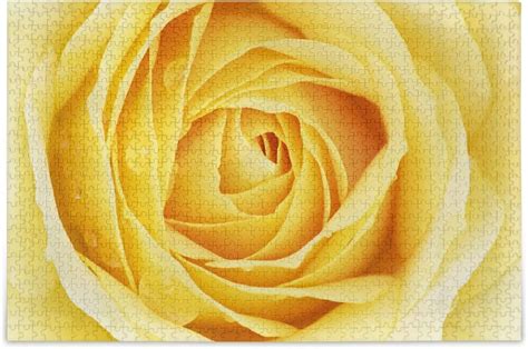 Wellsay Yellow Rose With Raindrop Jigsaw Puzzles For Adults 500 Piece