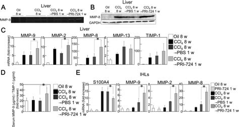 Inhibition Of Cyclic Adenosine Monophosphate CAMP Response Element