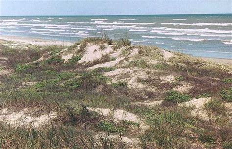 Coastal Plains - Regions of Texas