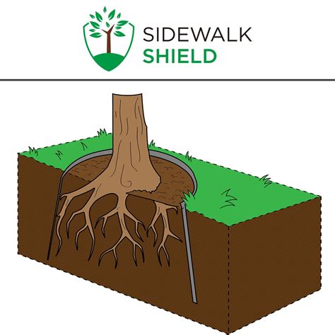 Tree Root Barrier - 36 inch - Heavy Duty – Sidewalk Shield