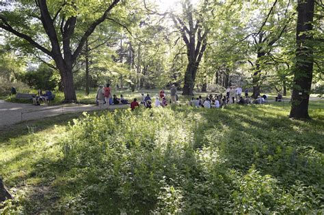 7 April 2024 VOLLE BLÜTE im Botanischen Garten Wien Kunst und Literatur