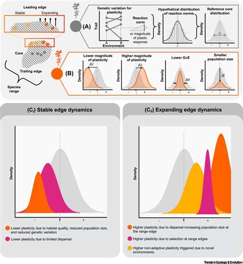 The Evolution Of Plasticity At Geographic Range Edges Trends In