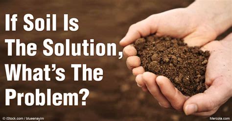 Soil Conservation And Remediation