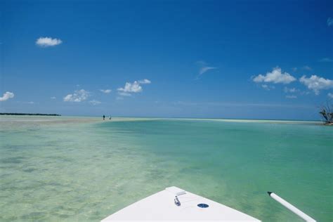 Locations With The Clearest Water In Florida Knowwake