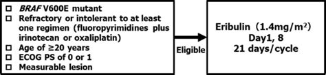 Rationale And Design Of The BRAVERY Study EPOC1701 A Multicentre