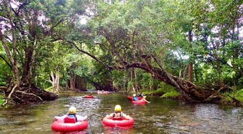 River Tubing Cairns Half Day Visit Australia