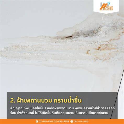 ซ่อมแซมหลังคารั่ว ห้องน้ำรั่ว ซ่อมรั่วซึมทุกประเภท - หลังคารั่ว ถือเป็น ...