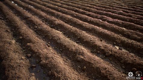 ArtStation - Tilled Soil - Substance Designer Material by Justin Wagner