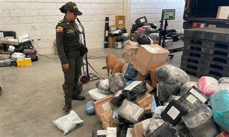 Perro antinarcóticos detecta 500 gramos de marihuana en una bodega en