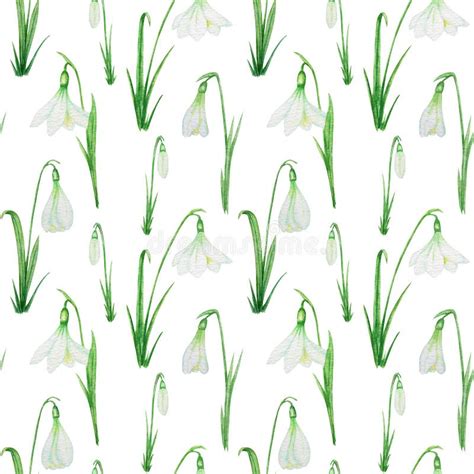 Seamless Pattern With Snowdrop Spring Easter Flowers With Green Leafs