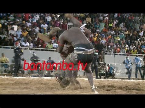 Baye Mandione Jr Vs Ndiaye Tine Chute Sp Ctaculaire Du Jamais Vue Youtube