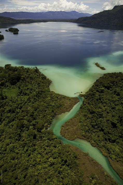 Reserva De La Biosfera Montes Azules Esp Ritu Del Mundo Maya