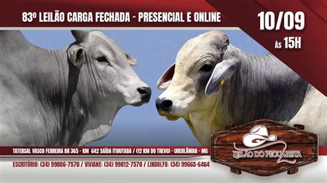 83º LEILÃO CARGA FECHADA PRESENCIAL E ONLINE DO LEILÃO DO PECUARISTA