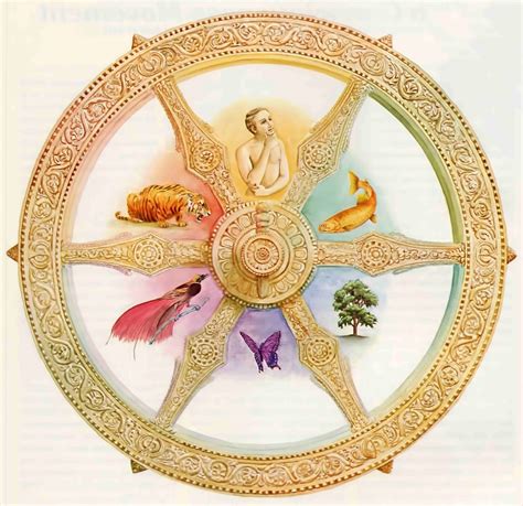 Reincarnation—The Soul’s Journey on the Wheel of Birth and Death – Back ...