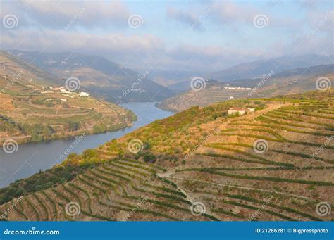 Douro Valley Port Wine Vineyards Portugal Stock Image - Image of ...