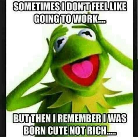 Funny Kermit Memes Funny Relatable Memes Funny Jokes Hilarious