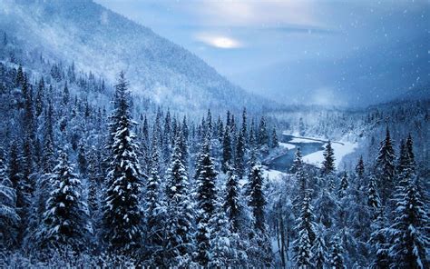 landscape alaska snow nature mountain forest winter river trees white ...