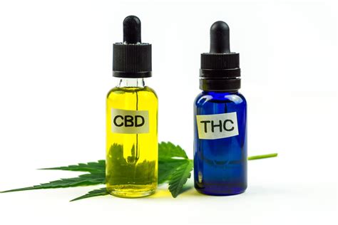 CBD Vs THC Wissen Sie Alles über Dieses Thema