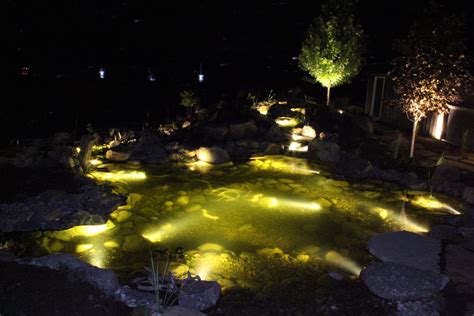 Pond Lighting - Just Add Water