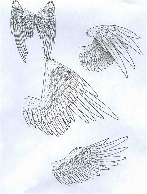 Wings Drawing Drawing Poses Art Reference