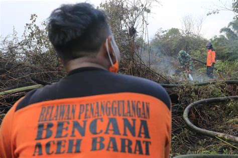 Kebakaran Lahan Gambut Di Nagan Raya Aceh Republika Online