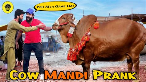 Cow Chori In Mandi Dumb Pranks YouTube