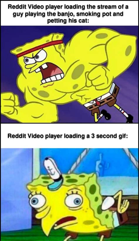 Just one more video player meme won't hurt : r/memes