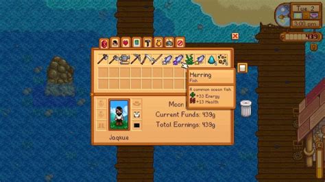 Herring in Stardew Valley: How to catch & get it? (Location included ...