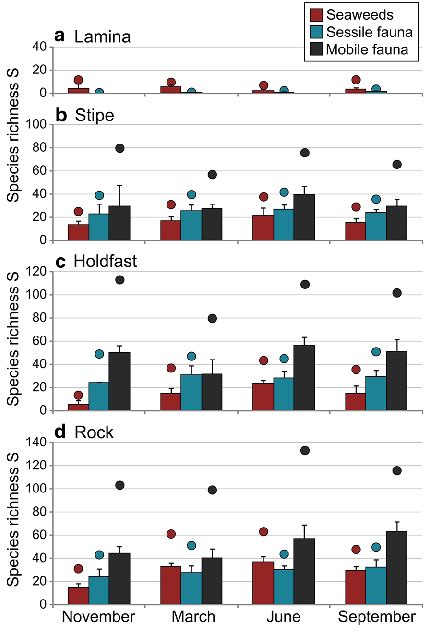 Macroalgal And Macrofauna Species Sessile And Mobile Taxa Richness