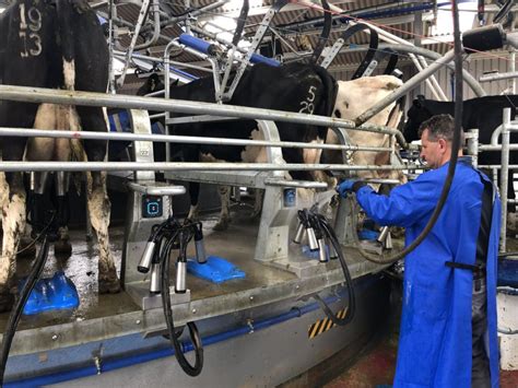 Saving Time And Bringing Back The Joy Of Milking With The Help Of A New