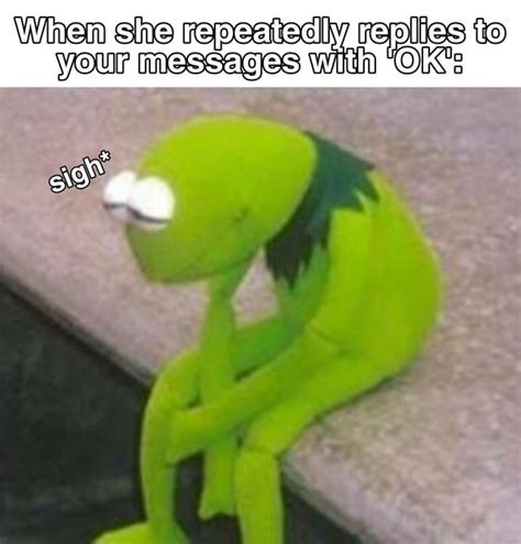 I feel you Kermit... : r/memes