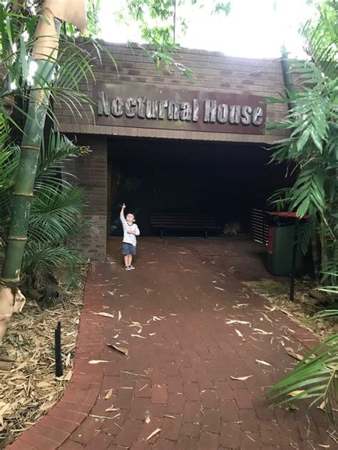 Top 9 Attractions At Perth Zoo