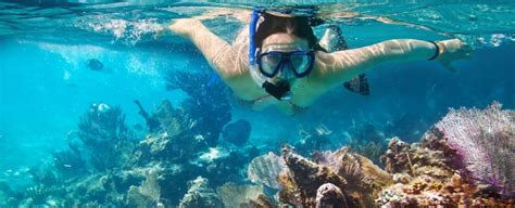 Go Snorkeling In Smith Cove | The Residences Grand Cayman Rentals