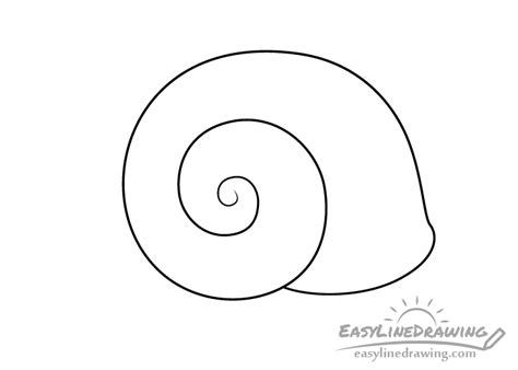 How To Draw Shells Step By Step Easylinedrawing