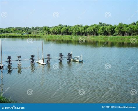 Farm Water Aeration System for Outdoor Fish or Shrimp Farming Pond. Stock Image - Image of ...