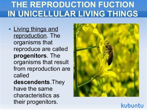 Living things reproduce